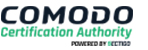 Website Hosting with Free SSL