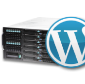 99.9% Uptime Hosting Guarantee